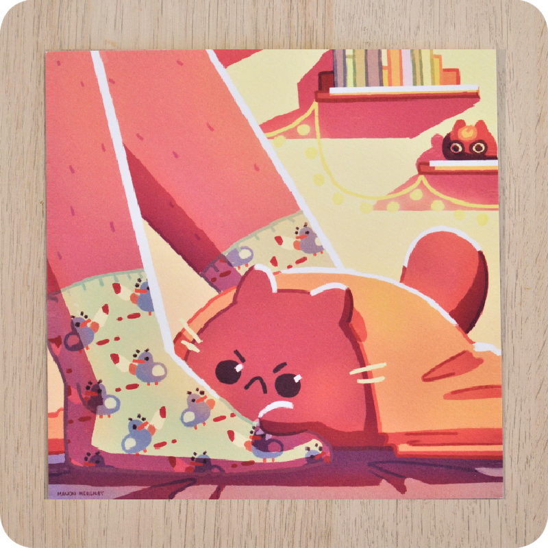 Pigeon Socks Illustration