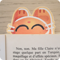 Marque page chat roux