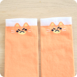 Chaussettes chat roux