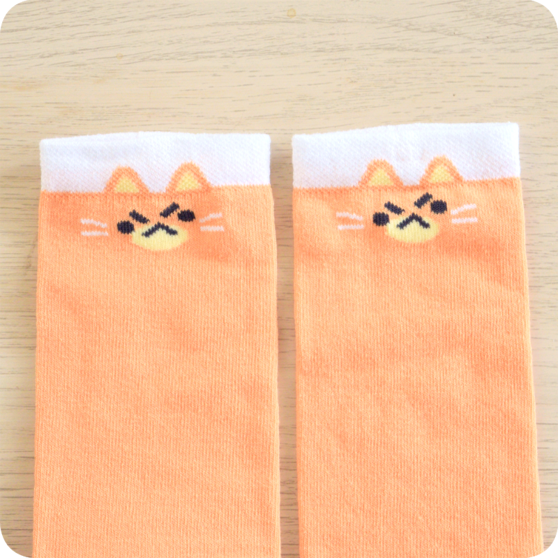 Chaussettes chat roux