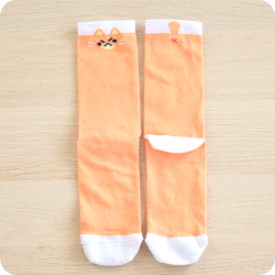 Chaussettes chat roux